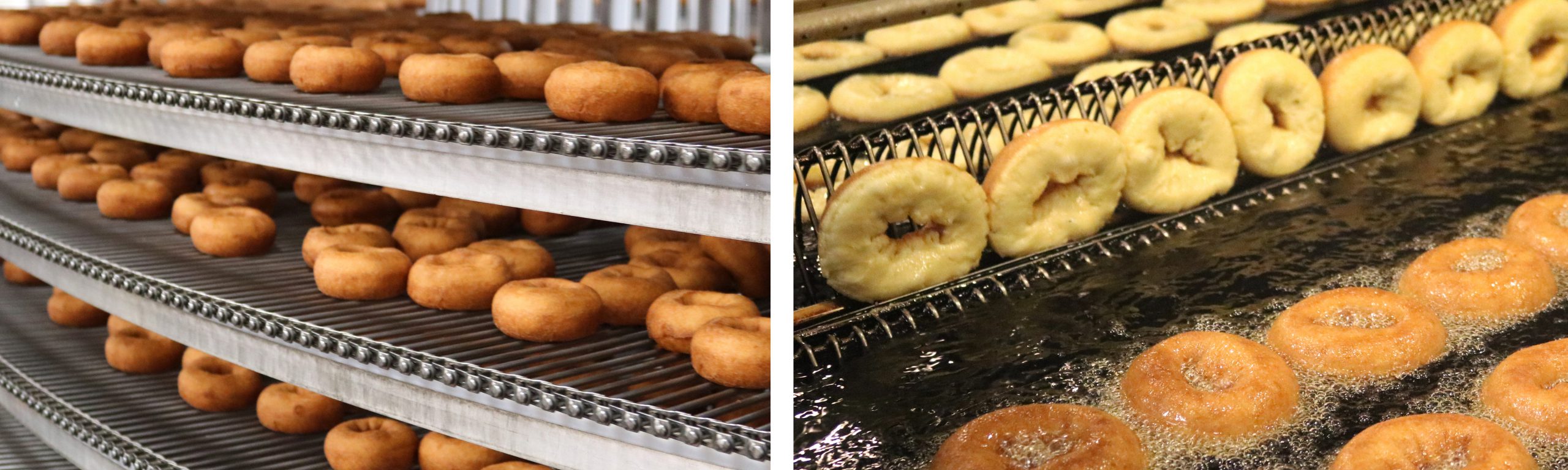 Donuts Image