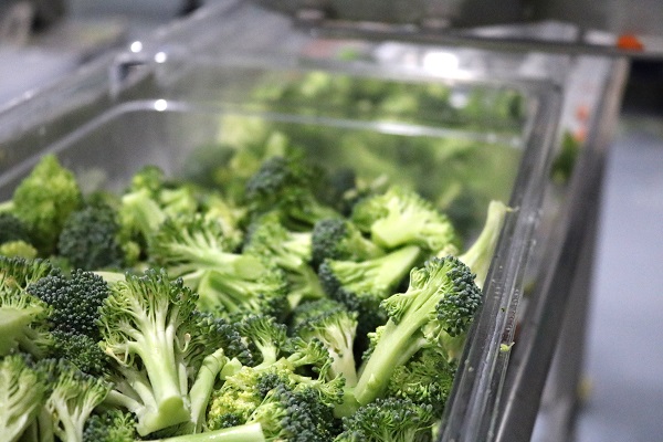 broccoli_600