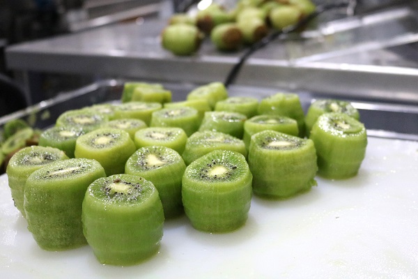 kiwi_600