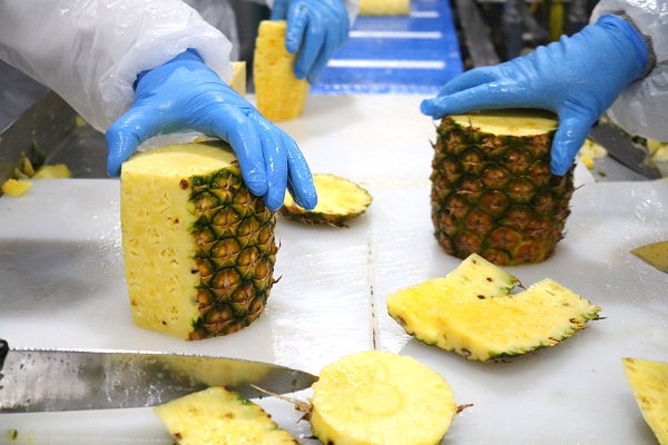 pineapple_600